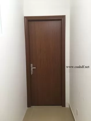 cửa gỗ nhựa Composite TP21