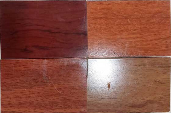 Cửa Nhựa Sơn Tĩnh Điện – Độ Bền Vượt Trội, Chống Thấm Tuyệt Đối Màu cửa nhựa sơn vân gỗ